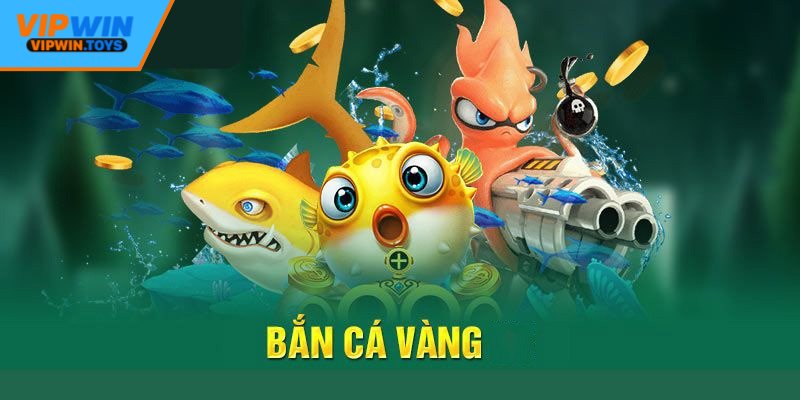 Hệ thống tặng điểm miễn phí theo chu kỳ 24 giờ
