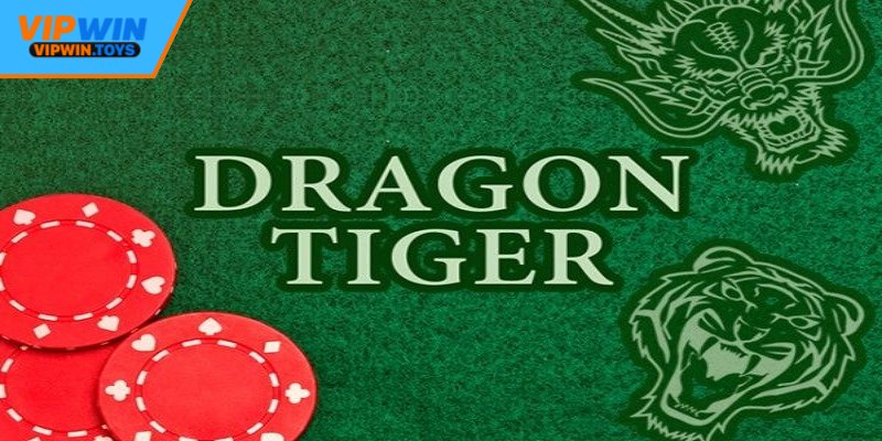 Lý do chọn sảnh rồng hổ Vipwin làm điểm đến
