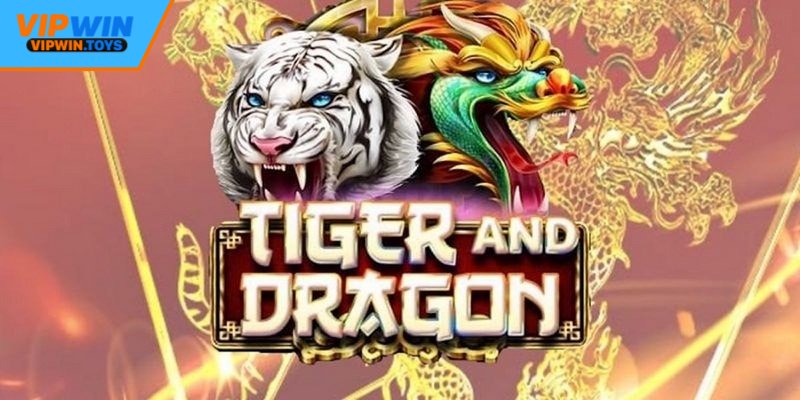 Mẹo cược rồng hổ tại Vipwin từ chuyên gia