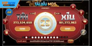 Tài Xỉu Vipwin – Trò Chơi Cá Cược Hấp Dẫn Hàng Đầu